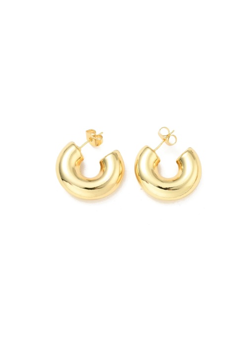 Hillary Gold  Hoops